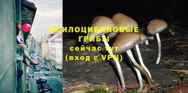 первитин Нязепетровск