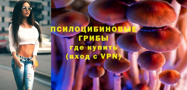 гашиш Няндома