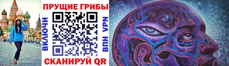 Псилоцибиновые грибы Psilocybine cubensis  цены   omg ONION  Кольчугино 
